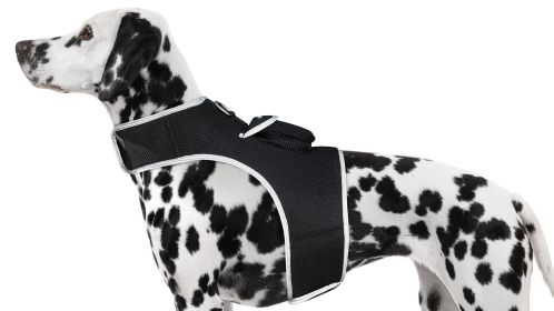 Mini GPS Dog Collar Android App Compatible Tracking Device Waterproof Size:S