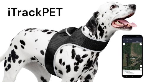 Wide Area GPS Tracking System for Dogs Waterproof Mini Location Finder Size:L